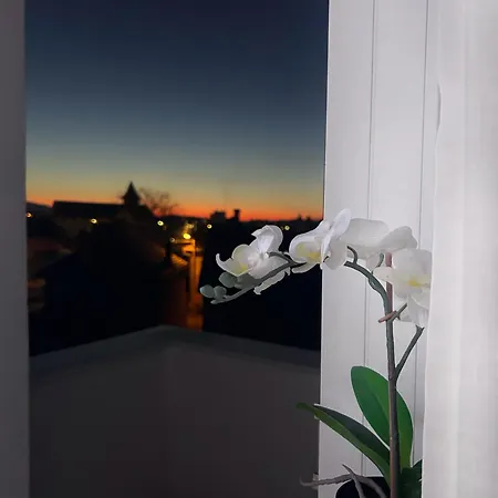 Apartment Davcom *